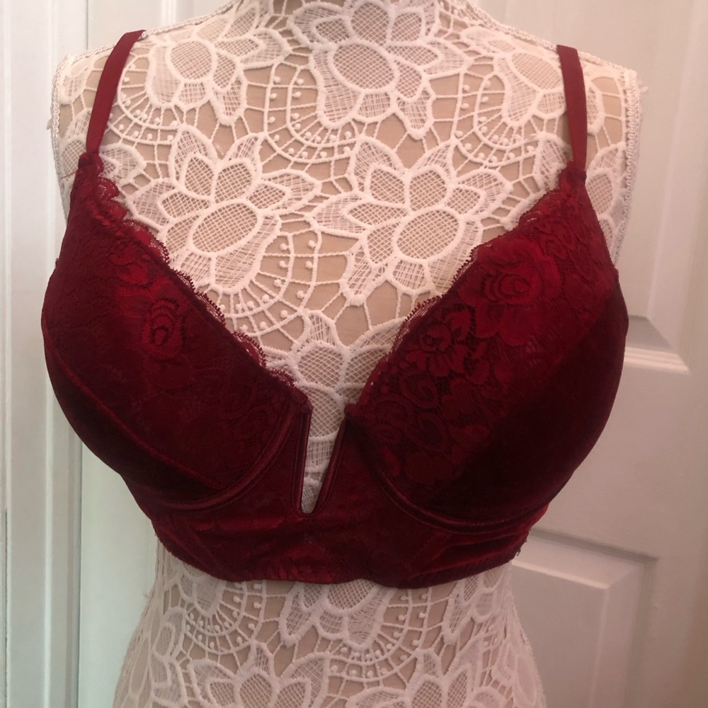 Gorgeous Youmita Bra Size 40 C